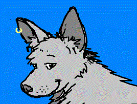 Bashak with an earring